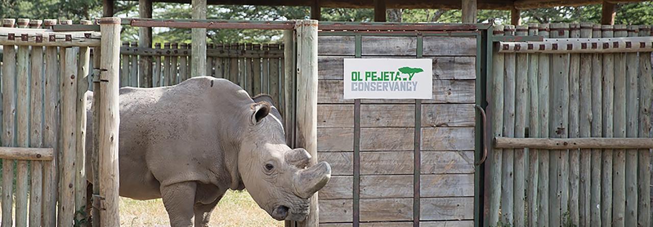 Ol Pejeta Holiday Villas Nanyuki Εξωτερικό φωτογραφία